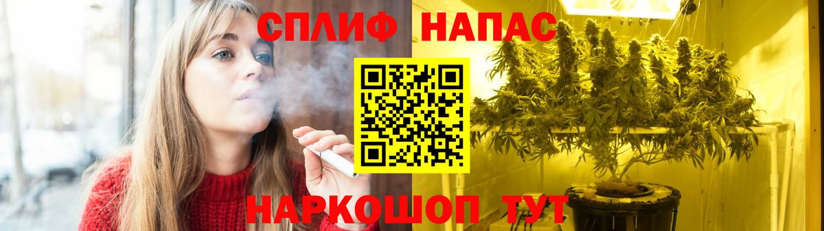 Бошки марихуана сатива Россия
